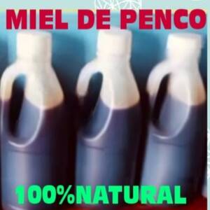 Miel de penco
