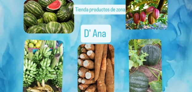 Tienda productos de la zona D' Ana