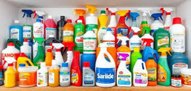 Productos Naturales Carmen