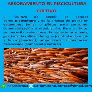 Asesoramiento Cultivo