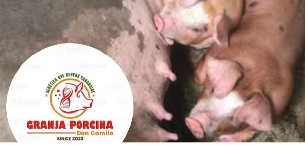 Granja Porcina don Camilo
