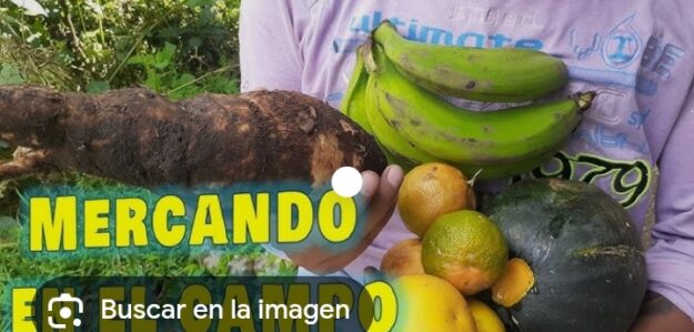 Productos de la zona