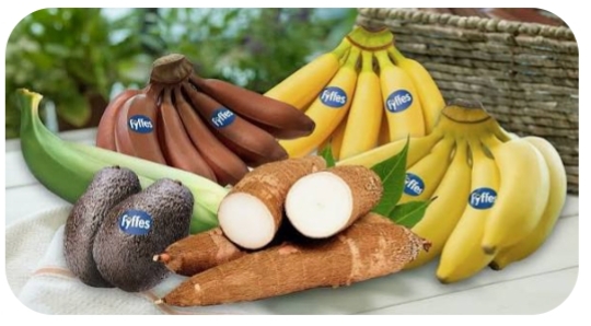 Productos del campo