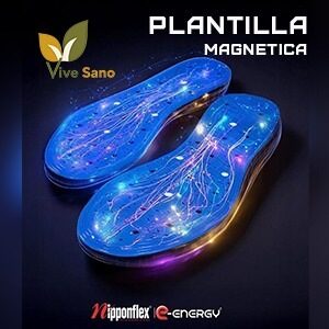 Plantilla magnética